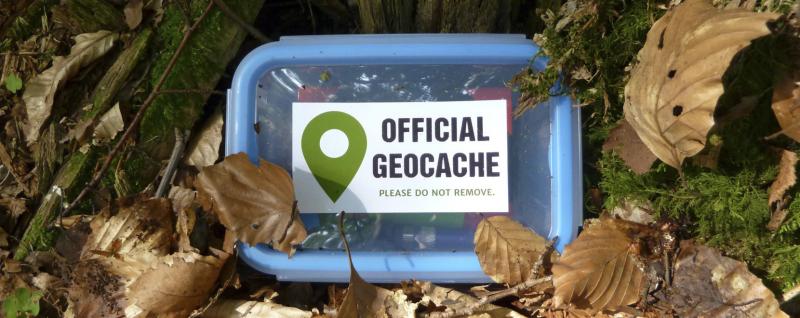 photo représentant une boîte de géocaching parmi des feuilles mortes